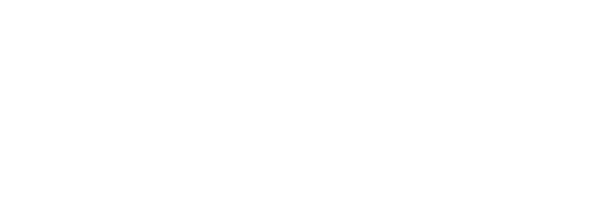 Ignitenet logo white